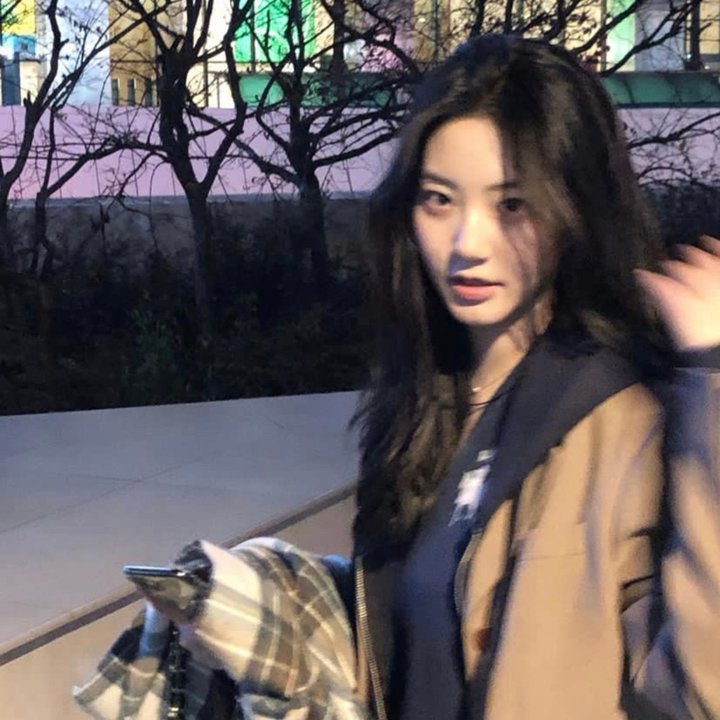 二呆流浪记之完全大人手册